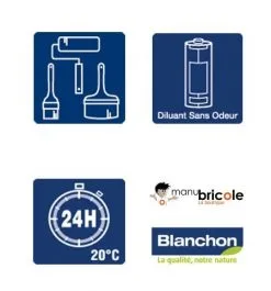 BLANCHON Boutique -BLANCHON Boutique saturateur bois blanchon incolore 5l incolore L 46633 2119361 2